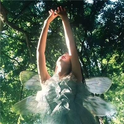 南溟奇缘之爱情树